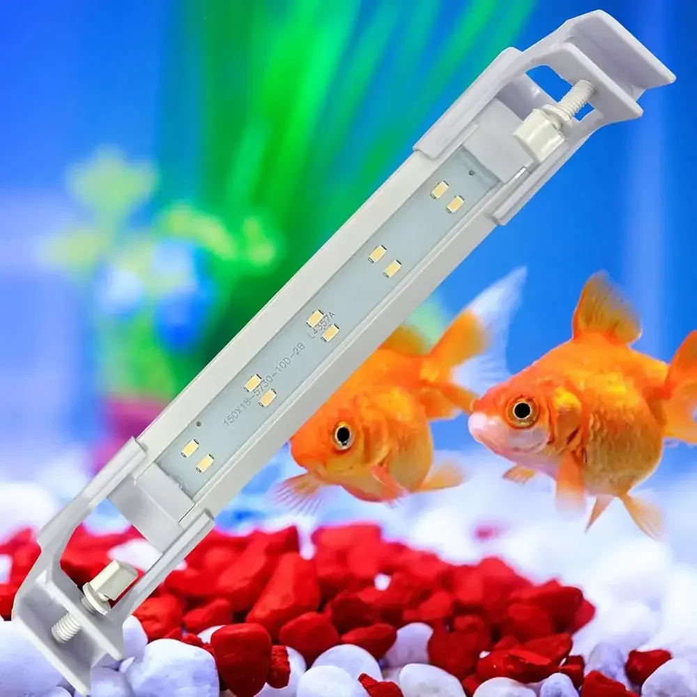 Đèn Hồ Cá & Tiểu Cảnh