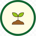 Vật Tư Trồng Cây