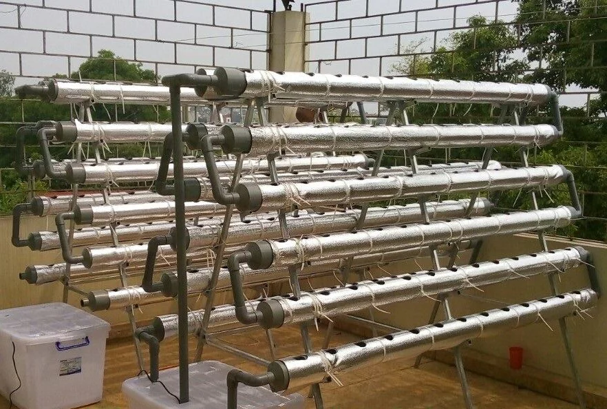 Vật tư trồng thủy canh