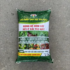 Chế phẩm sinh học Bio QL-02 – Phân bón vi sinh cải tạo đất