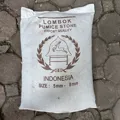 Đá bọt Pumice đủ loại kích cỡ từ Lombok – Indonesia - Ảnh 1