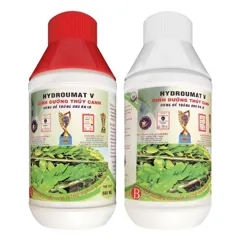 Dinh dưỡng thủy canh Hydro Umat – Bộ V & F dành cho rau ăn lá và rau ăn quả