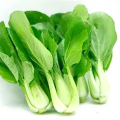 Hạt Giống Cải Chip – Mập Mạp, Ngọt Thanh, Dễ Trồng Mọi Nơi