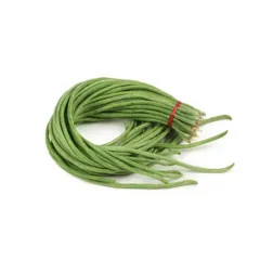 Hạt giống đậu đũa – Dễ trồng, trái dài giòn ngọt, năng suất cao