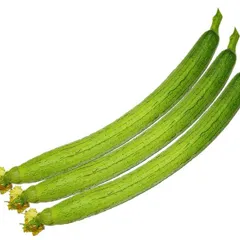 Hạt Giống Mướp Hương – Dễ Trồng, Trái Dài, Thơm Ngon Tự Nhiên