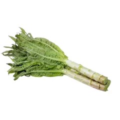 Hạt giống rau diếp thơm – Lá dài, vị thơm ngọt, trồng dễ, thu sớm