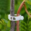 Kẹp thân cây dạng clip bấm tự khóa 3cm – Cố định thân cà chua, dưa leo, ớt, hoa leo - Ảnh 1