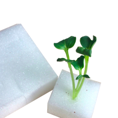 Mút xốp ươm hạt giống – Bọt xốp ươm mầm thủy canh, sạch, tiện dùng