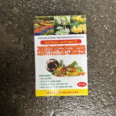 Nấm đối kháng Trichoderma mật độ cao, khỏe gốc rễ