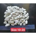 Sỏi Trắng Trang Trí Sân Vườn - Kích Cỡ Đa Dạng (4-6 mm, 1-2 cm, 2-3 cm) - Ảnh 1