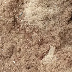 xơ dừa trồng rau