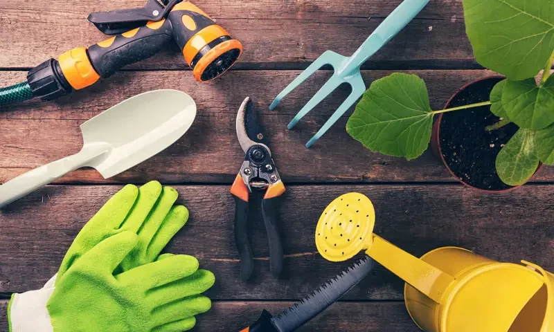 5 Trang Bị Cơ Bản Giúp Bạn Chăm Sóc Khu Vườn Nhỏ Trên Ban Công